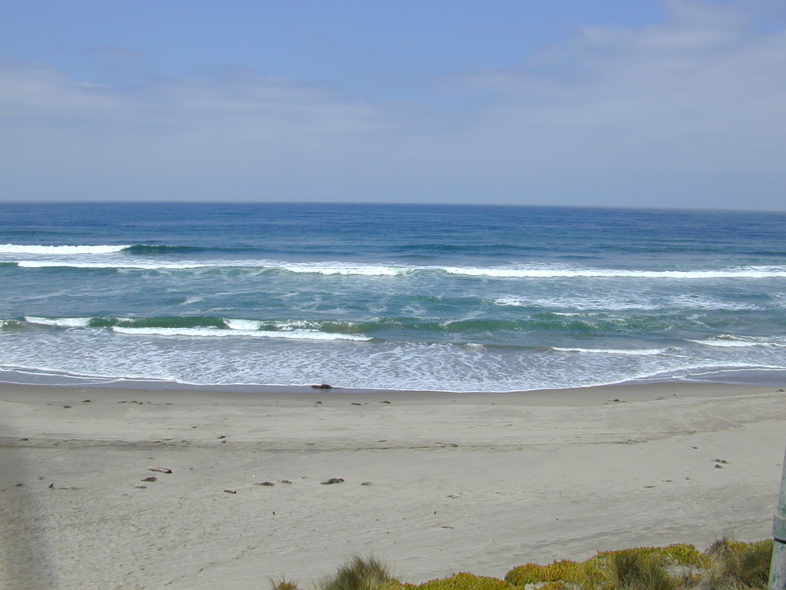 ... Santa Cruz